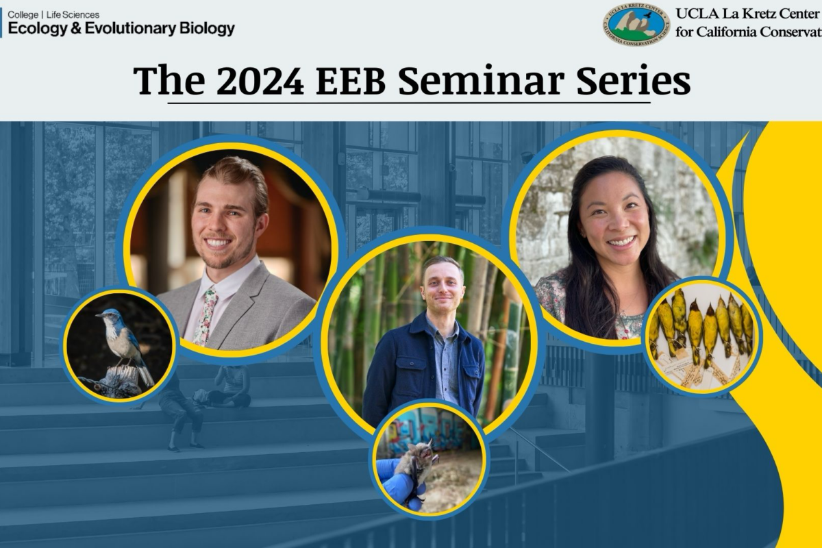2024 EEB Seminar Promo
