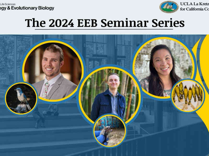 2024 EEB Seminar Promo