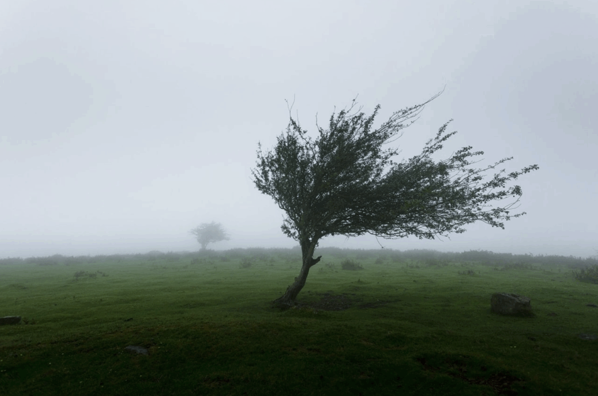 UCLA researchers used knowledge of biological resistance to build a framework for modifying behavior that contributes to climate change credit Khamkéo Vilaysing - Unsplash