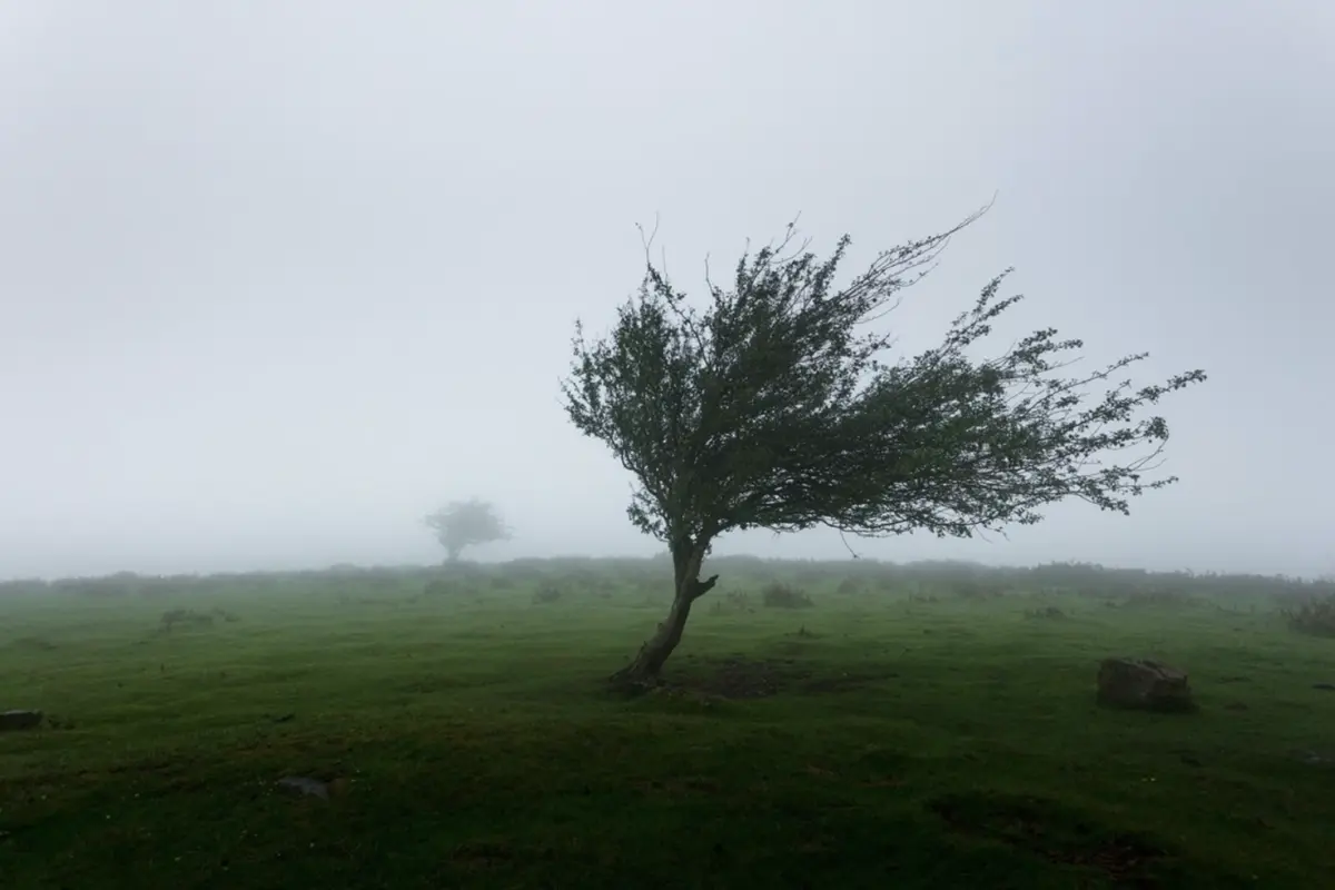 UCLA researchers used knowledge of biological resistance to build a framework for modifying behavior that contributes to climate change credit Khamkéo Vilaysing - Unsplash