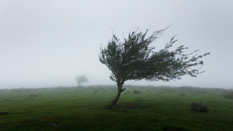 UCLA researchers used knowledge of biological resistance to build a framework for modifying behavior that contributes to climate change credit Khamkéo Vilaysing - Unsplash