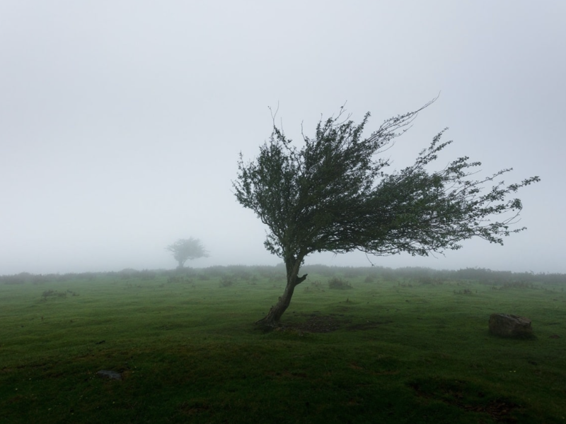 UCLA researchers used knowledge of biological resistance to build a framework for modifying behavior that contributes to climate change credit Khamkéo Vilaysing - Unsplash