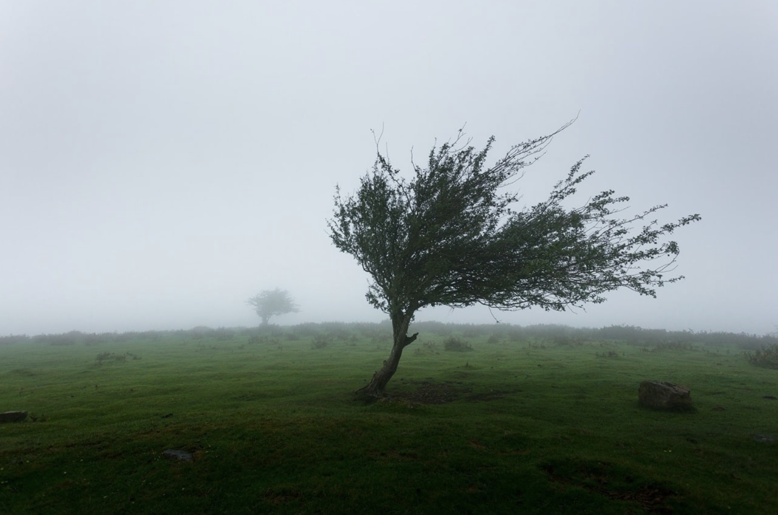 UCLA researchers used knowledge of biological resistance to build a framework for modifying behavior that contributes to climate change credit Khamkéo Vilaysing - Unsplash