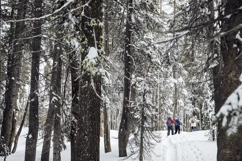 People snowshoe along the Pacific Crest Trail at Donner Summit California State Snopark in Soda Springs on Jan. 12.(Stephen Lam/San Francisco Chronicle)