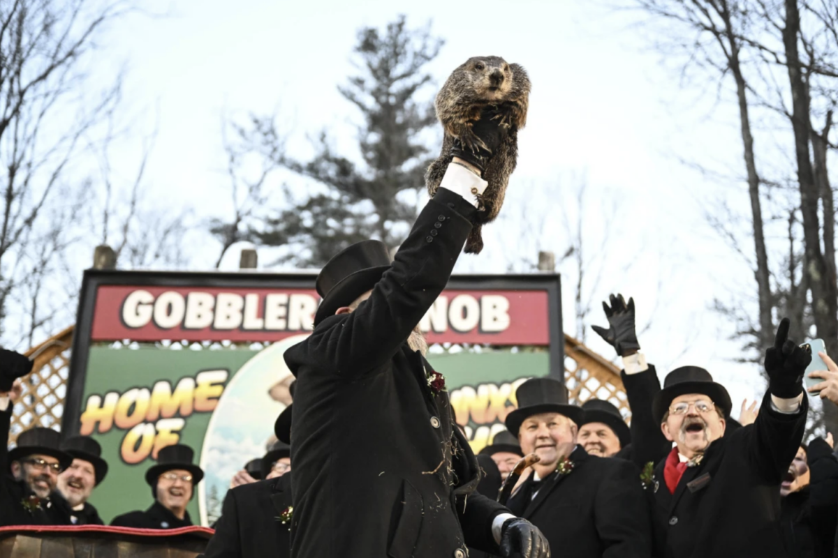 Punxsutawney Phil saw his shadow at a Groundhog Day celebration at Gobblers Knob in Punxsutawney