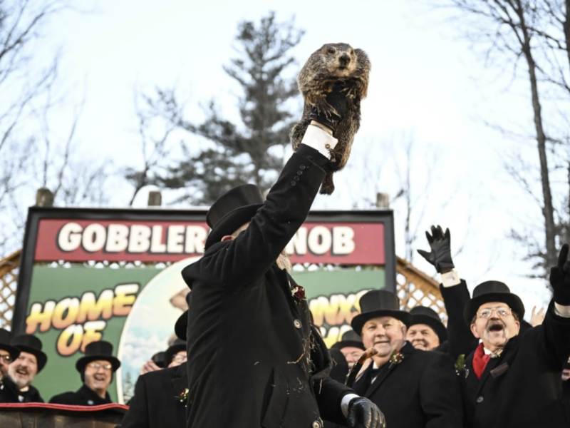 Punxsutawney Phil saw his shadow at a Groundhog Day celebration at Gobblers Knob in Punxsutawney