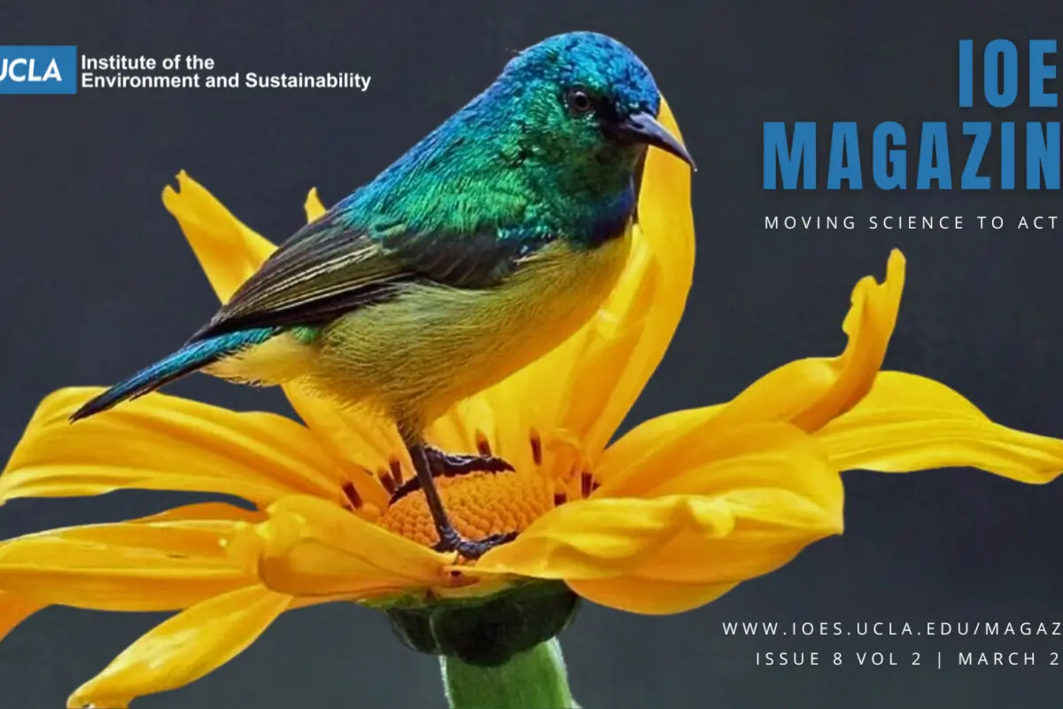 IoES Magazine Ranked #2 Among Top 15 Los Angeles Sustainability Blogs