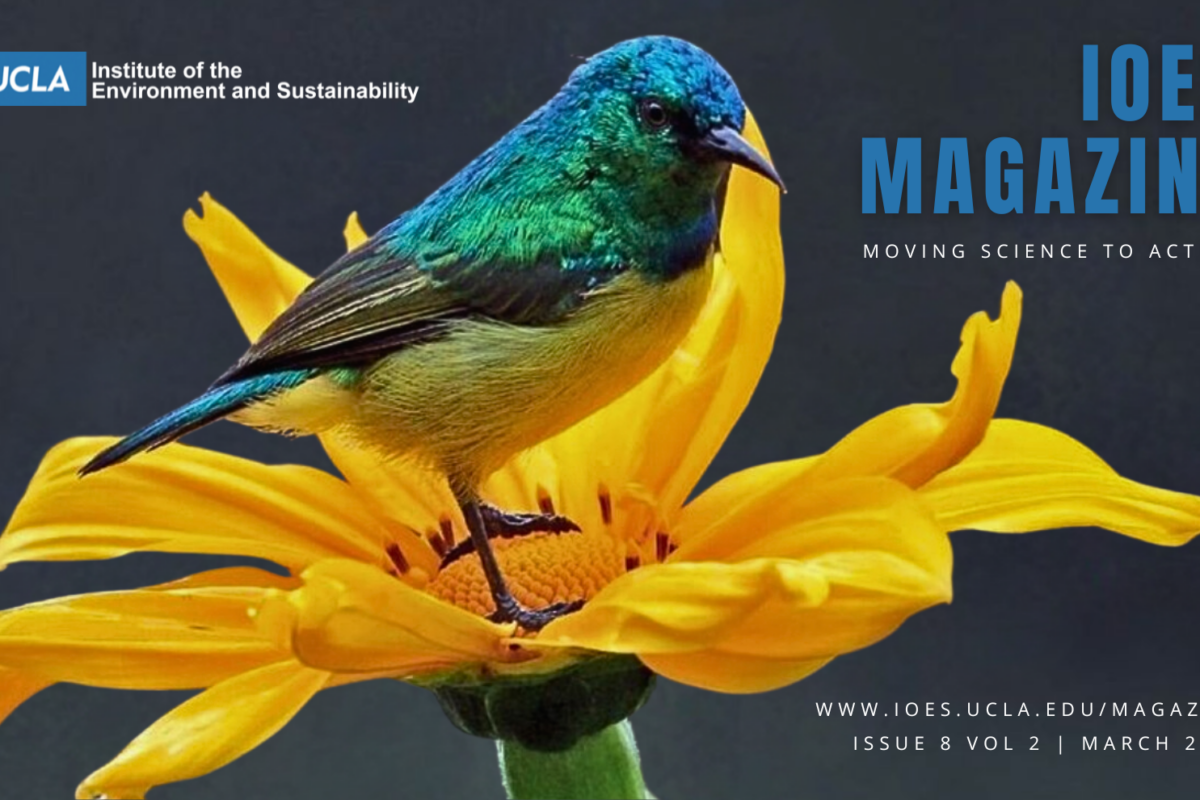 IoES Magazine Ranked #2 Among Top 15 Los Angeles Sustainability Blogs