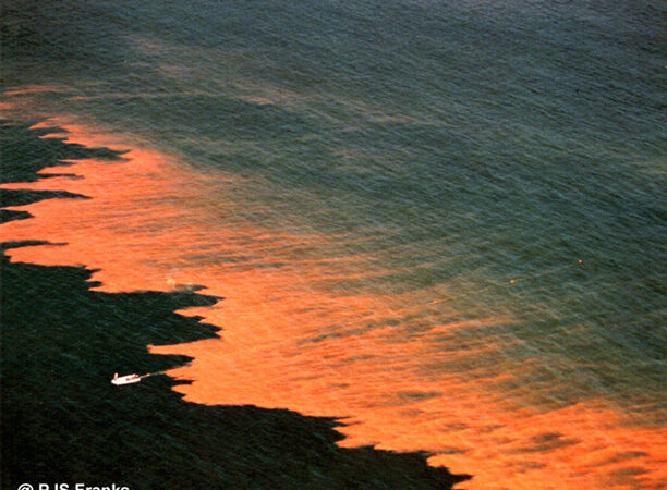 Santa Monica Bay