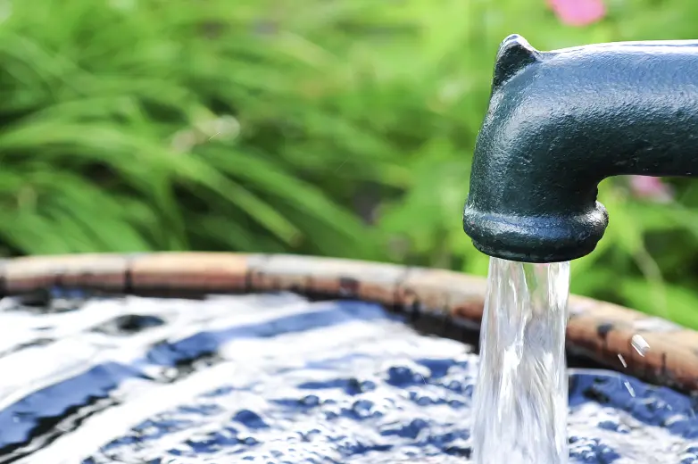 Water pours from a cast iron spigot into a basin, with green foliage in the background.