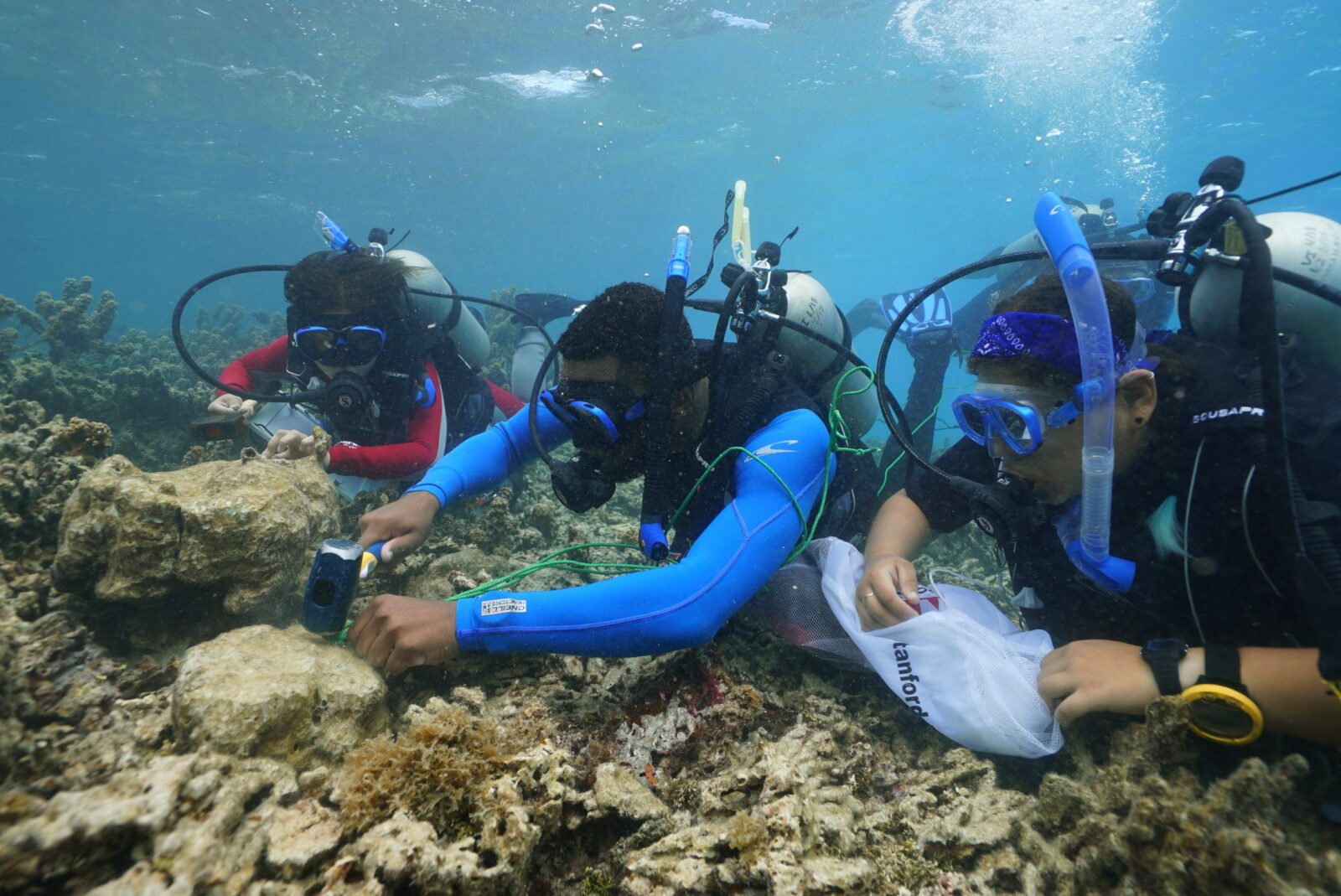 Scuba diving students set reef research plots in French Polynesia