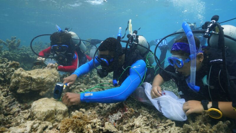 Scuba diving students set reef research plots in French Polynesia
