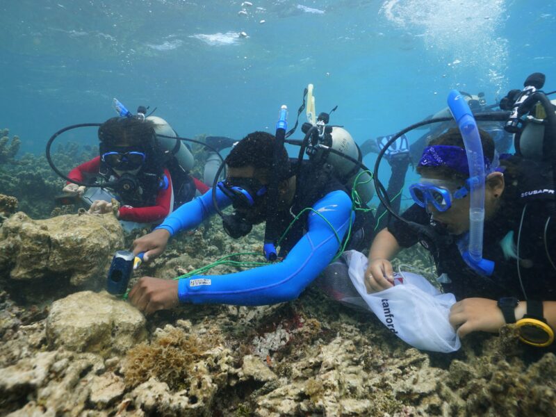 Scuba diving students set reef research plots in French Polynesia