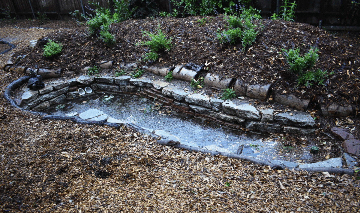 When one swale fills up, pipes pull the water to another on this property. If the system is overwhelmed it sends the water out to the storm drains. (Shawn Maestretti / Studio Petrichor)
