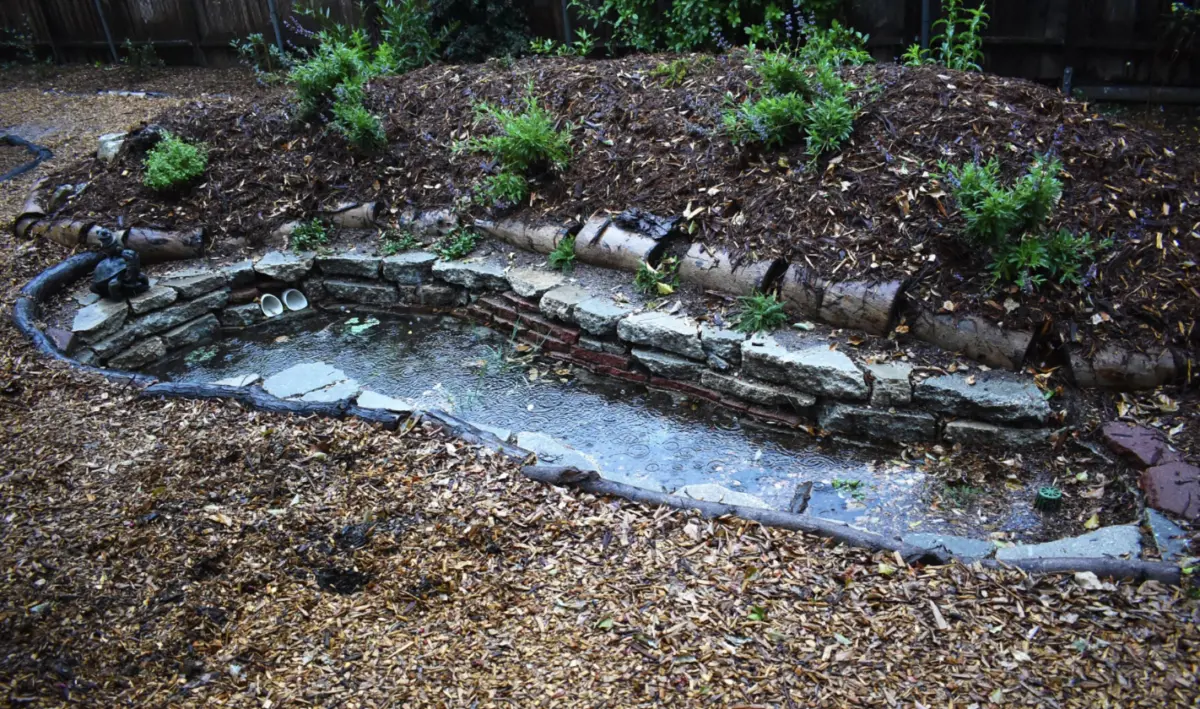 When one swale fills up, pipes pull the water to another on this property. If the system is overwhelmed it sends the water out to the storm drains. (Shawn Maestretti / Studio Petrichor)