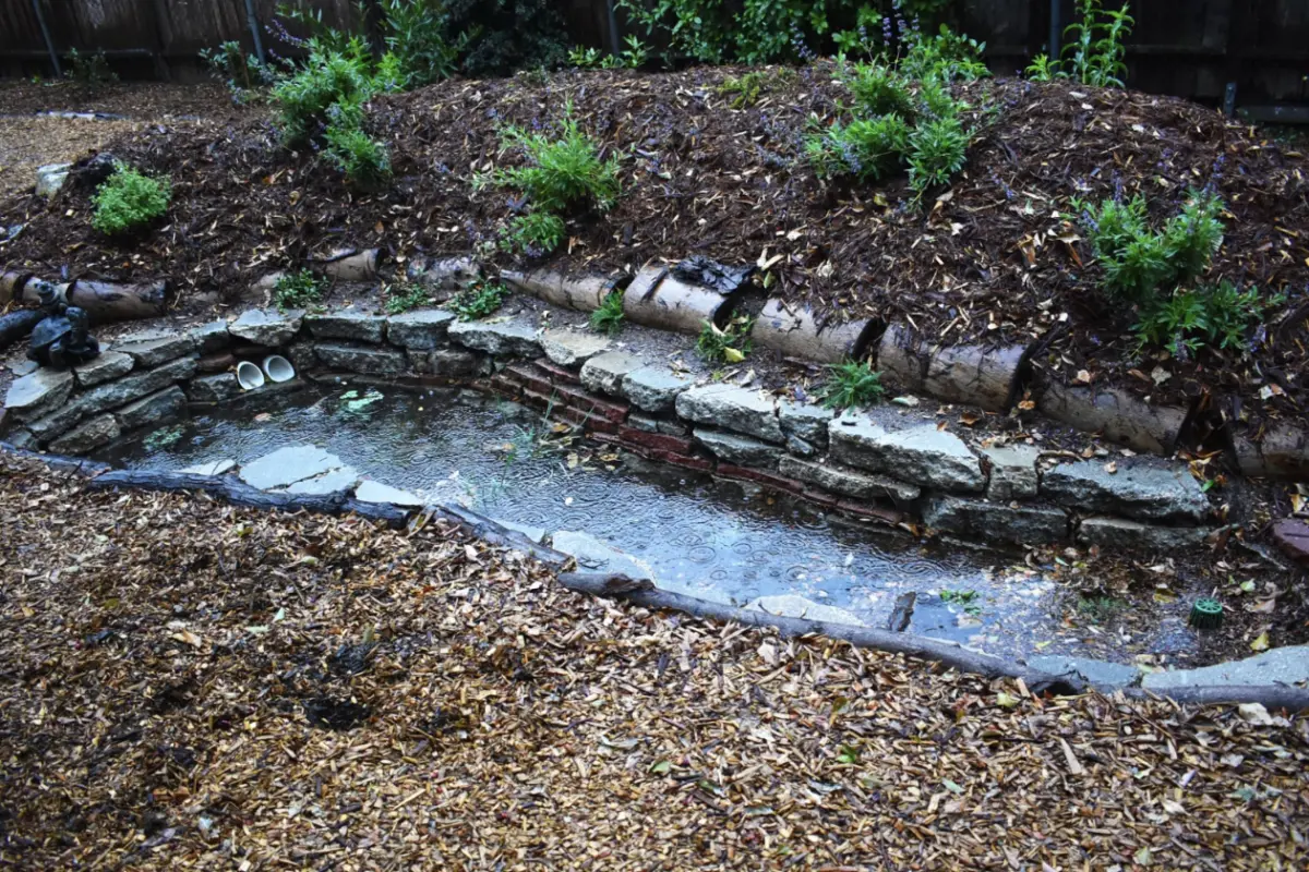 When one swale fills up, pipes pull the water to another on this property. If the system is overwhelmed it sends the water out to the storm drains. (Shawn Maestretti / Studio Petrichor)