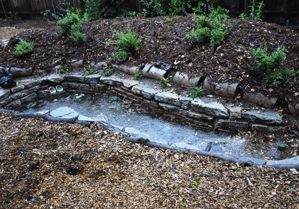 When one swale fills up, pipes pull the water to another on this property. If the system is overwhelmed it sends the water out to the storm drains. (Shawn Maestretti / Studio Petrichor)