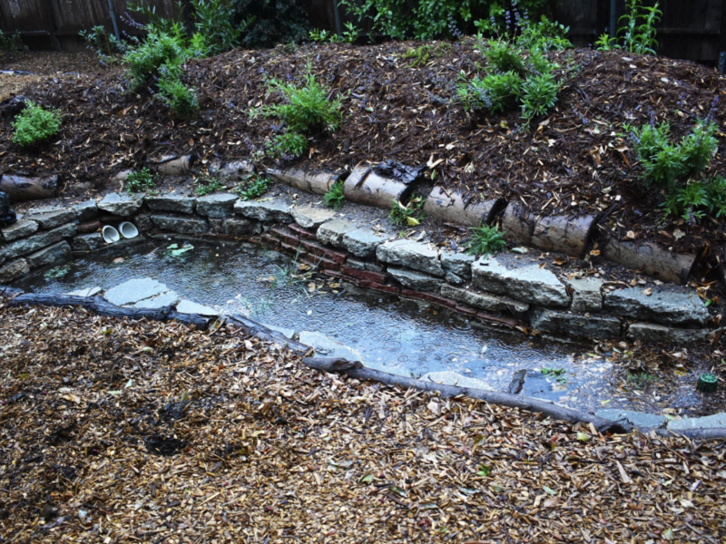 When one swale fills up, pipes pull the water to another on this property. If the system is overwhelmed it sends the water out to the storm drains. (Shawn Maestretti / Studio Petrichor)