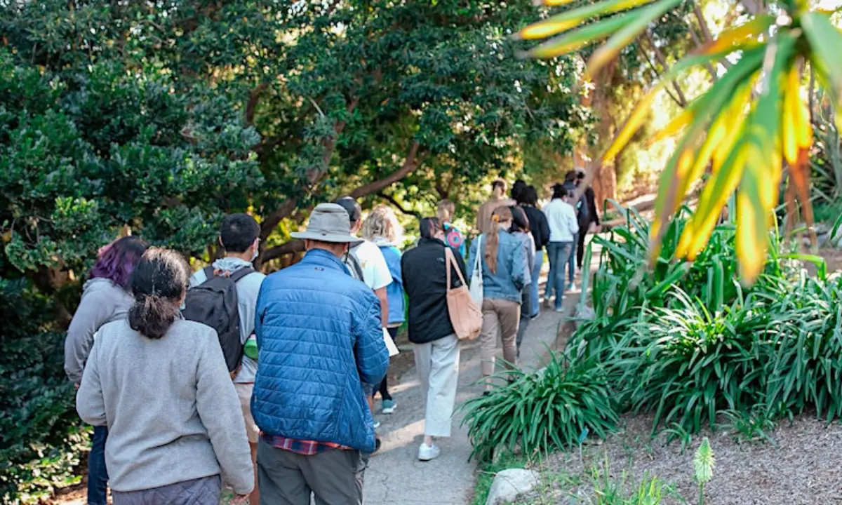 A tour group walks single file along a shaded path lined with lush trees and palms in the UCLA Botanical Garden.