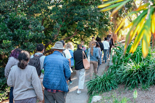 Guided UCLA Botanical Garden Tour