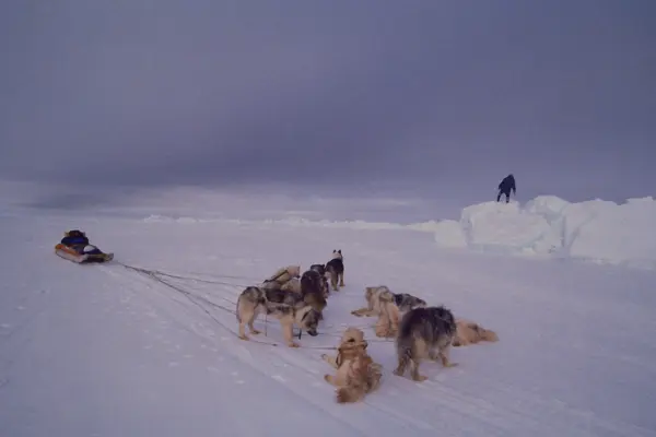 Edward Struzik Presents Future Arctic