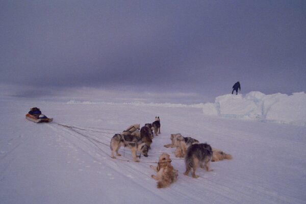 Edward Struzik Presents Future Arctic