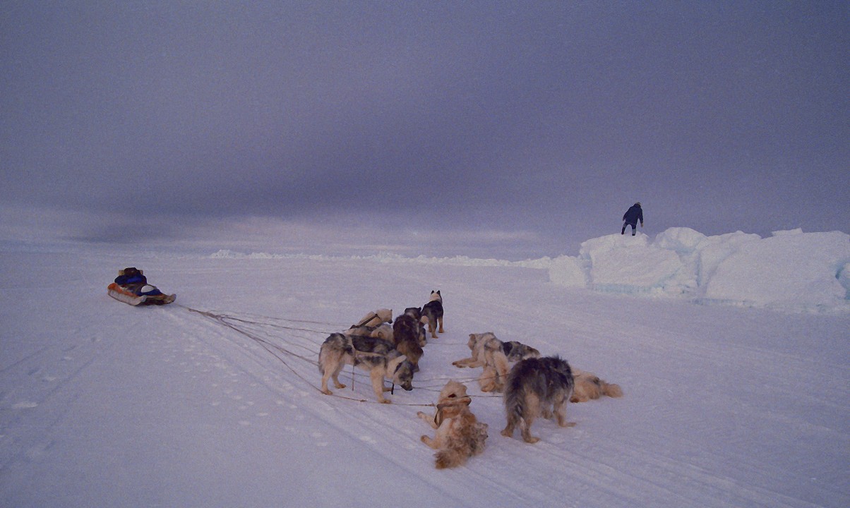Edward Struzik Presents Future Arctic