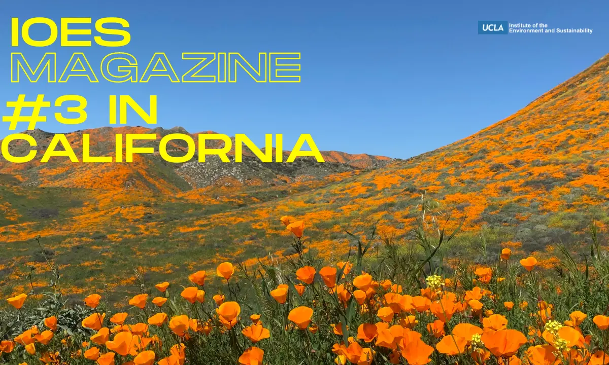 UCLA IoES Magazine: #3 in Top 30 California Sustainability Blogs