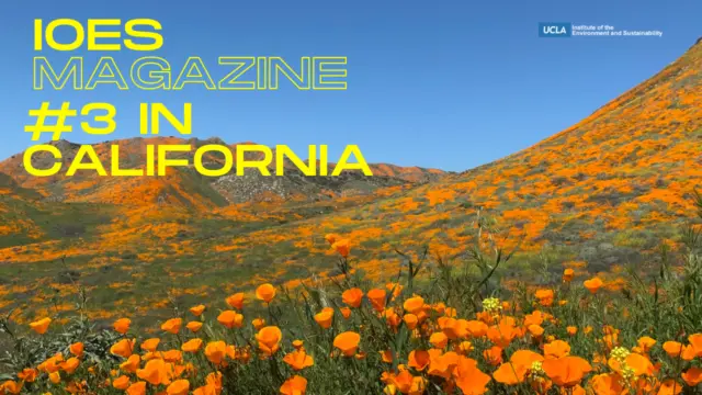 Hillsides covered in orange poppies under a blue sky, with text reading "IoES Magazine #3 in California."