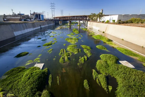 Earth Focus Documentary Premiere: “Reimagining and Transforming the Los Angeles River”