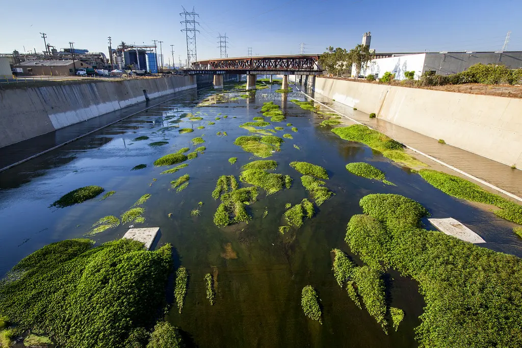 Green vegetation growing in the shallow water of the concrete-lined Los Angeles River, with a rail bridge and industrial buildings beyond.