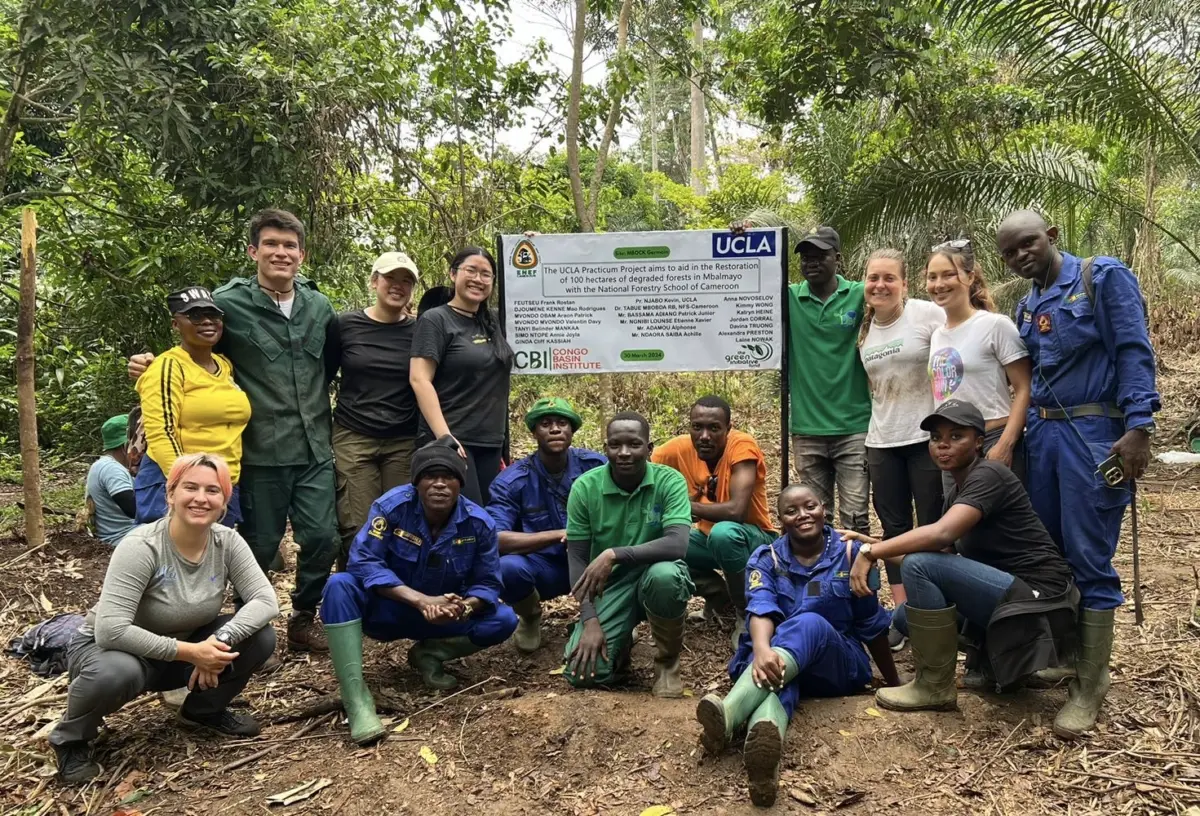 UCLA practicum students and local forestry workers gather around a UCLA project sign at a reforestation site in Cameroon.