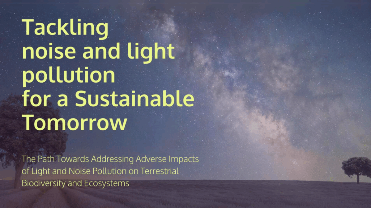 Graphic of starry night sky with text that says "Tackling noise and light pollution for a Sustainable Tomorrow" and "The Path Towards Addressing Adverse Impacts of Light and Noise Pollution on Terrestrial Biodiversity and Ecosystems"