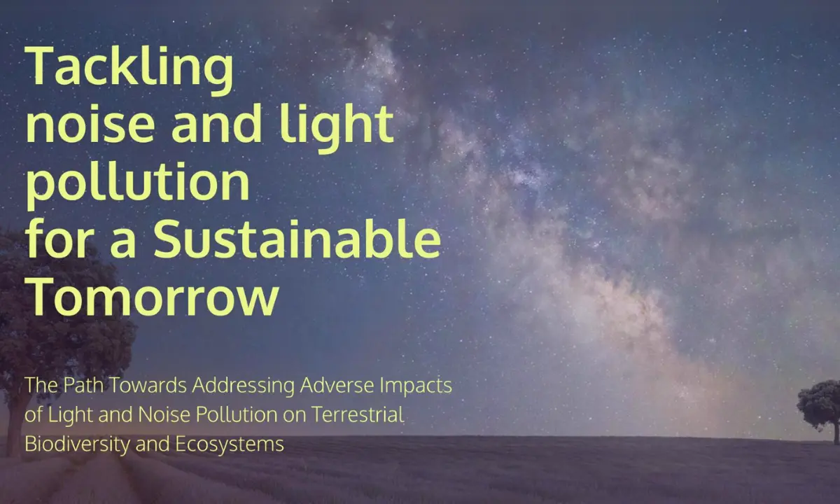 Graphic of starry night sky with text that says "Tackling noise and light pollution for a Sustainable Tomorrow" and "The Path Towards Addressing Adverse Impacts of Light and Noise Pollution on Terrestrial Biodiversity and Ecosystems"