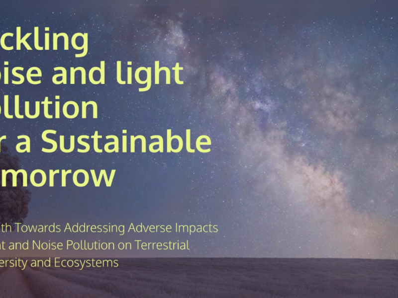 Graphic of starry night sky with text that says "Tackling noise and light pollution for a Sustainable Tomorrow" and "The Path Towards Addressing Adverse Impacts of Light and Noise Pollution on Terrestrial Biodiversity and Ecosystems"