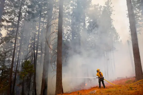 A firefighter working along Highway 32 in Butte County, Calif., on Saturday.Credit...Daniel Dreifuss for The New York Times
