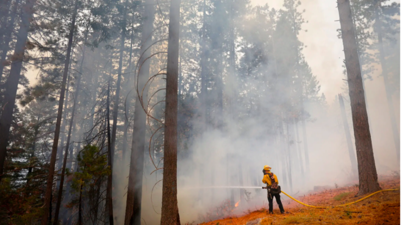 A firefighter working along Highway 32 in Butte County, Calif., on Saturday.Credit...Daniel Dreifuss for The New York Times