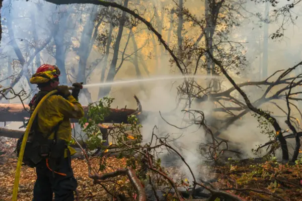 A firefighter sprays water on the Park Fire burning near Forest Ranch, Calif., Saturday, July 27, 2024. (AP Photo/Nic Coury)