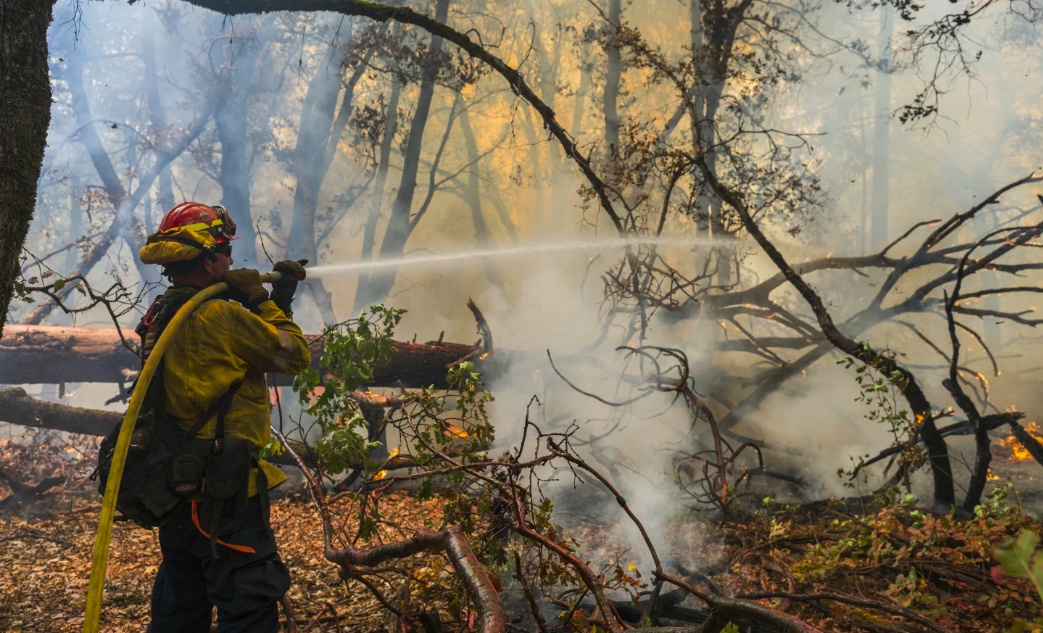 A firefighter sprays water on the Park Fire burning near Forest Ranch, Calif., Saturday, July 27, 2024. (AP Photo/Nic Coury)