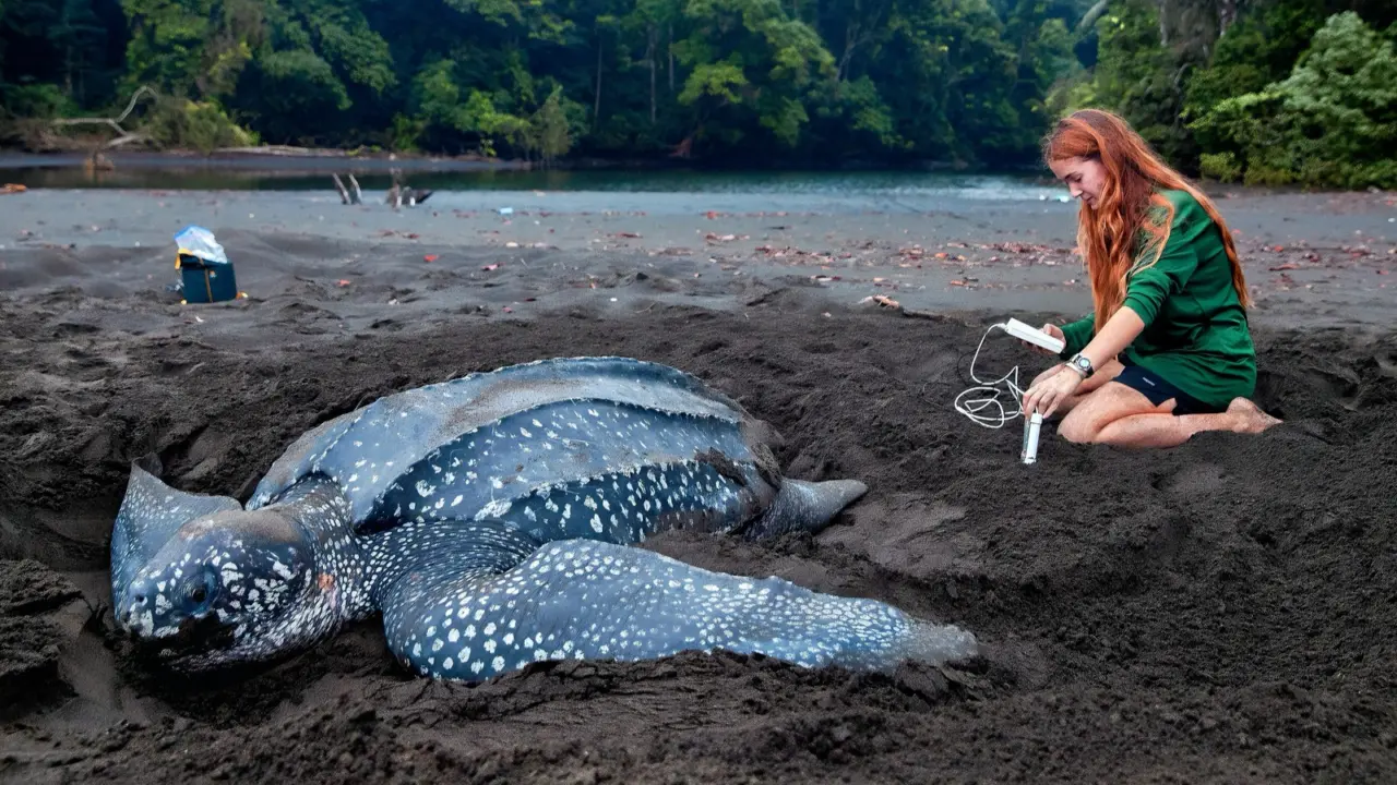 Meet the 2024 Pritzker Emerging Environmental Genius Award nominees