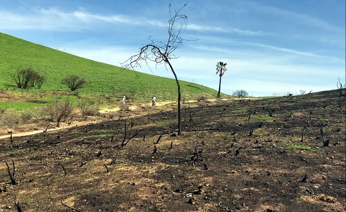 Wildfires are among the many threats to California sustainability researchers highlighted and offered solutions for. Above, the Santa Monica mountains a few months after the 2018 Woolsey fire.