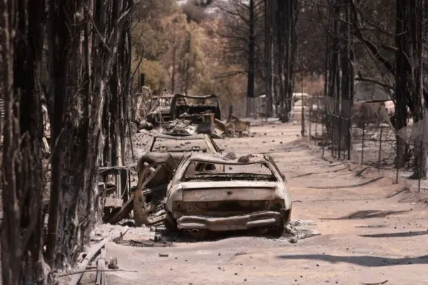 Photo shows destruction and aftermath of burnt cars from a fire near Lake Isabella, California