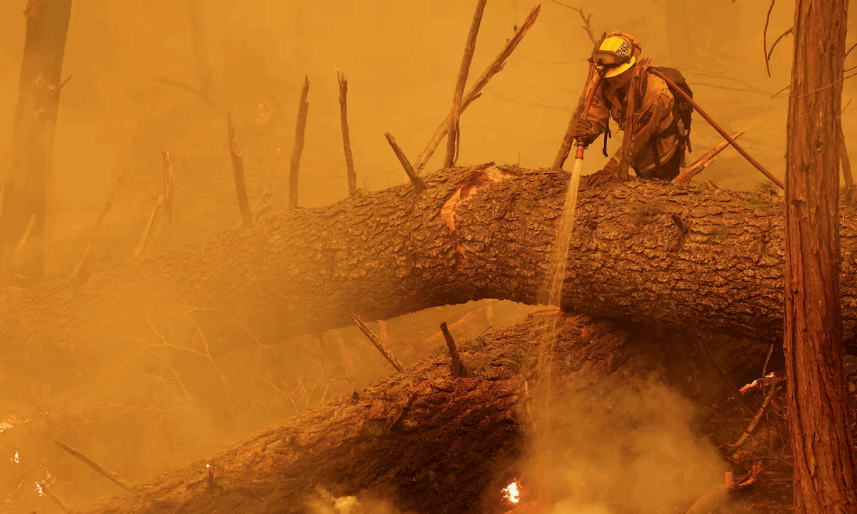 Record drought, heat, and floods all create conditions that make large wildfires, like the Park Fire seen here in August, more likely. PHOTOGRAPH BY FRED GREAVES, REUTERS/REDUX