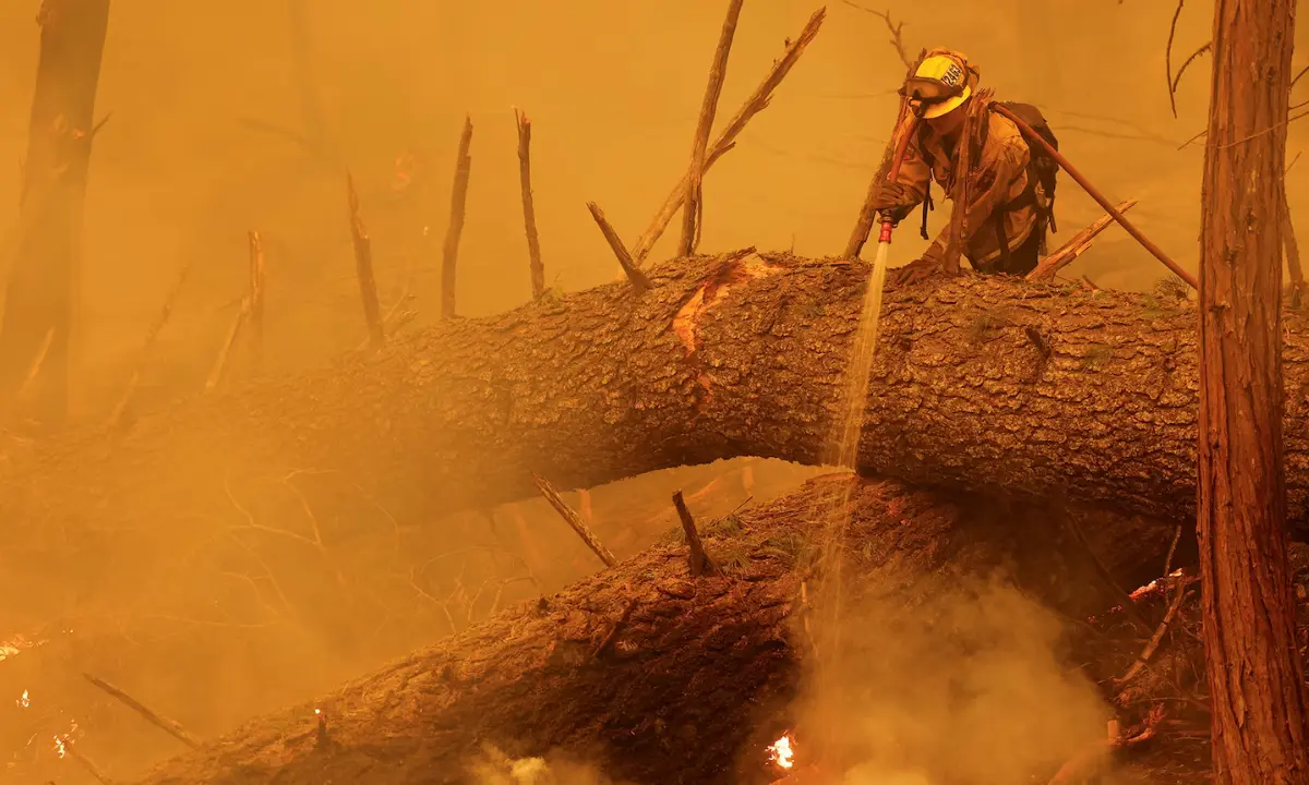 Record drought, heat, and floods all create conditions that make large wildfires, like the Park Fire seen here in August, more likely. PHOTOGRAPH BY FRED GREAVES, REUTERS/REDUX