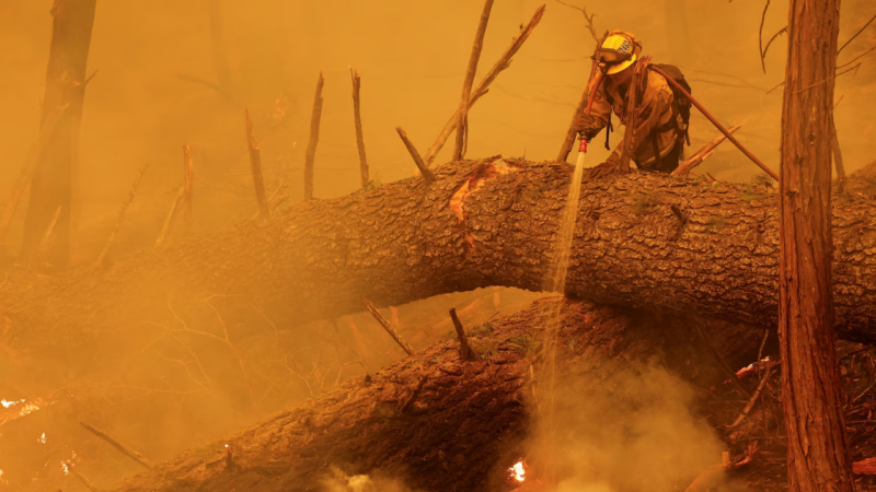 Record drought, heat, and floods all create conditions that make large wildfires, like the Park Fire seen here in August, more likely. PHOTOGRAPH BY FRED GREAVES, REUTERS/REDUX