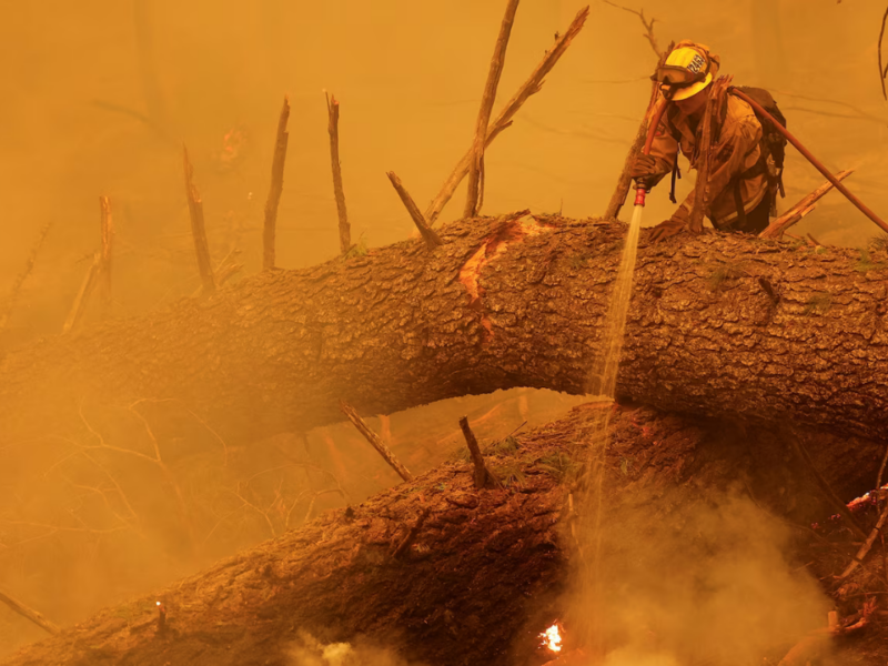 Record drought, heat, and floods all create conditions that make large wildfires, like the Park Fire seen here in August, more likely. PHOTOGRAPH BY FRED GREAVES, REUTERS/REDUX