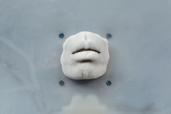 Xin Liu, The Mothership, detail, 2023