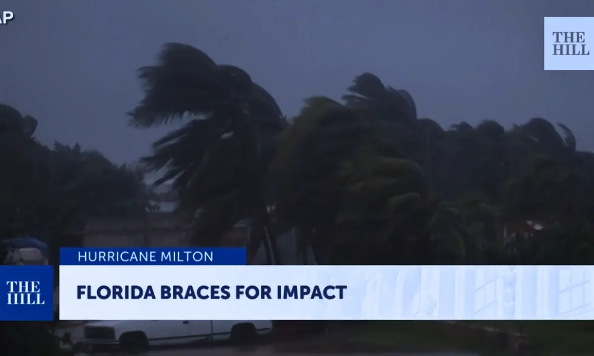 News video still of palm trees bending in high winds under dark skies, captioned "Hurricane Milton: Florida braces for impact."