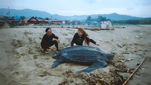 Two researchers crouch beside a large leatherback sea turtle on a debris-strewn beach, with a coastal village and hills behind.
