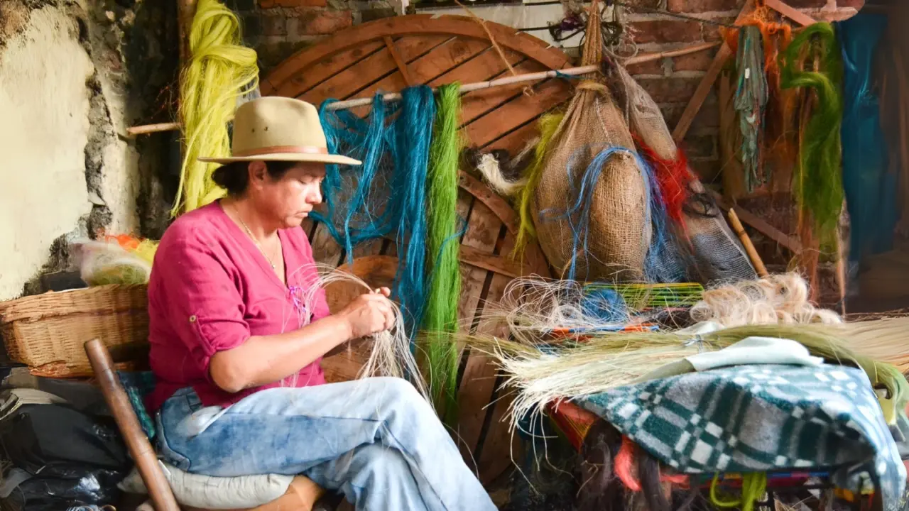 Nearly half of Colombia’s culturally important plant species lack conservation protections